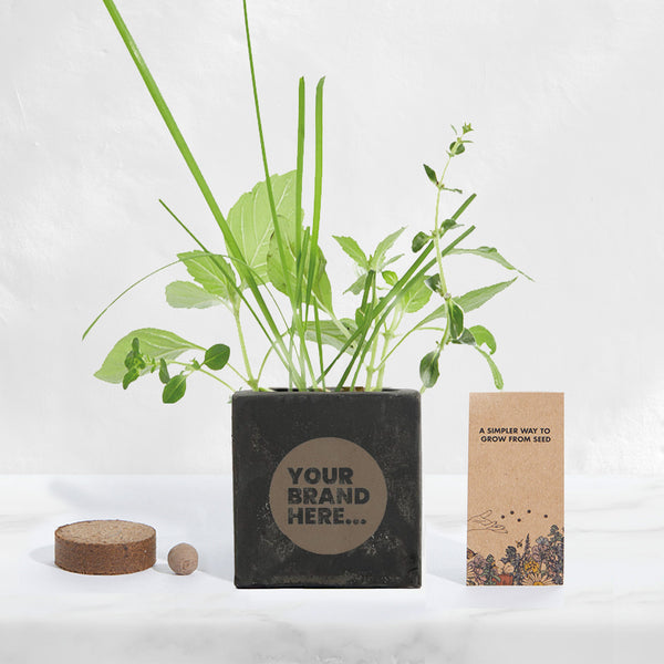 Black Concrete Grow Kit - Engraved