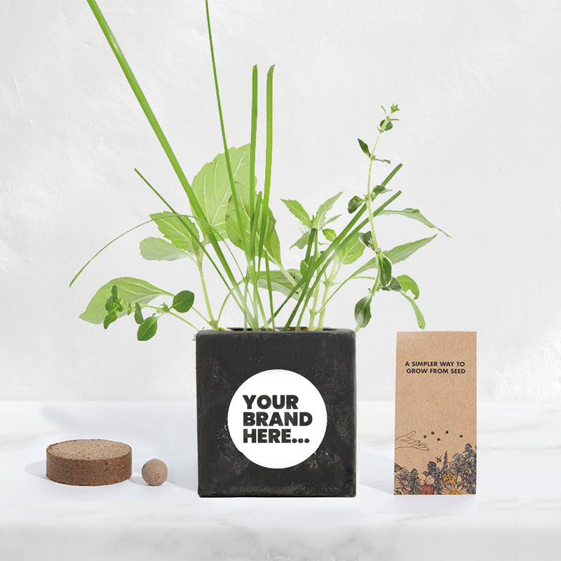 Black Concrete Grow Kit - Printed