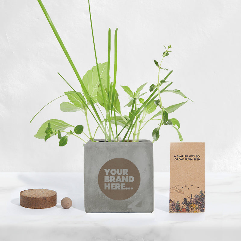 Grey Concrete Grow Kit - Engraved