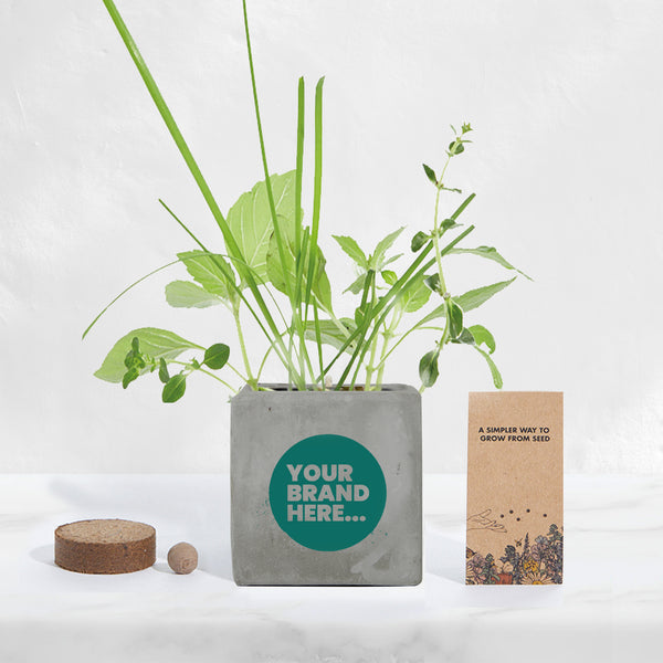 Grey Concrete Grow Kit - Printed