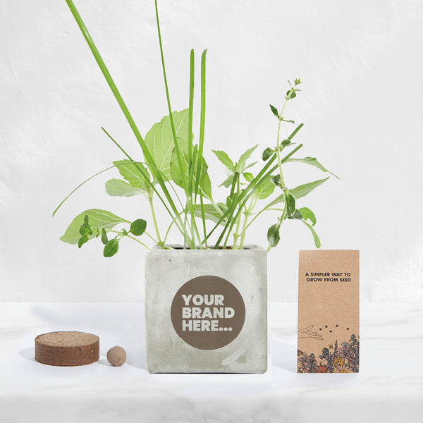 Marble Concrete Grow Kit - Engraved