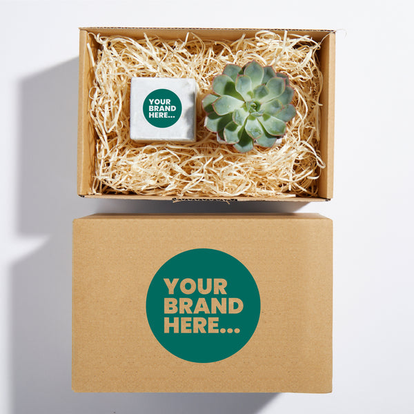 Plant and Candle Hamper 6cm - Concrete - SM-004-01