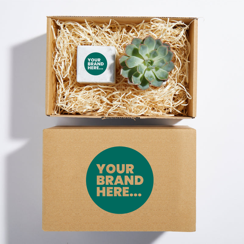 Plant and Candle Hamper 6cm - Concrete - SM-004-01