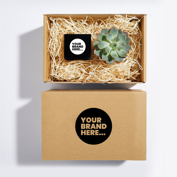 Plant and Candle Hamper 6cm - Aluminium - SM-004-02