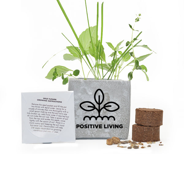 Grow Kit 6cm Concrete Pot - Marble - SM-005-01