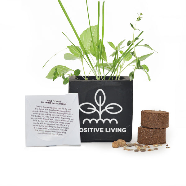 Grow Kit 6cm Concrete Pot - Black - Printed - SM-005-02