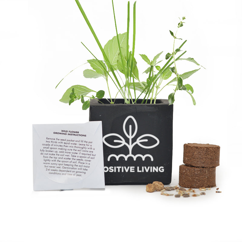 Grow Kit 6cm Concrete Pot - Black - Printed - SM-005-02