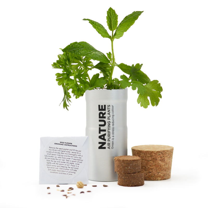 Desktop Garden - Silver - SM-006-01