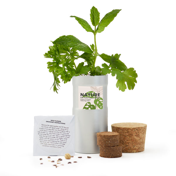 Desktop Garden - Silver - SM-006-01