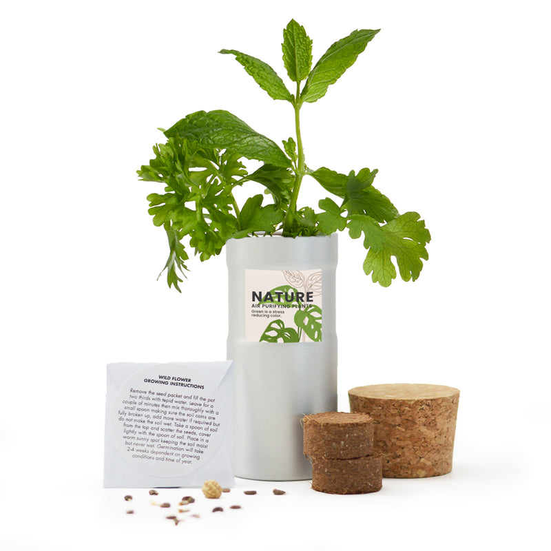 Desktop Garden - Silver - SM-006-01