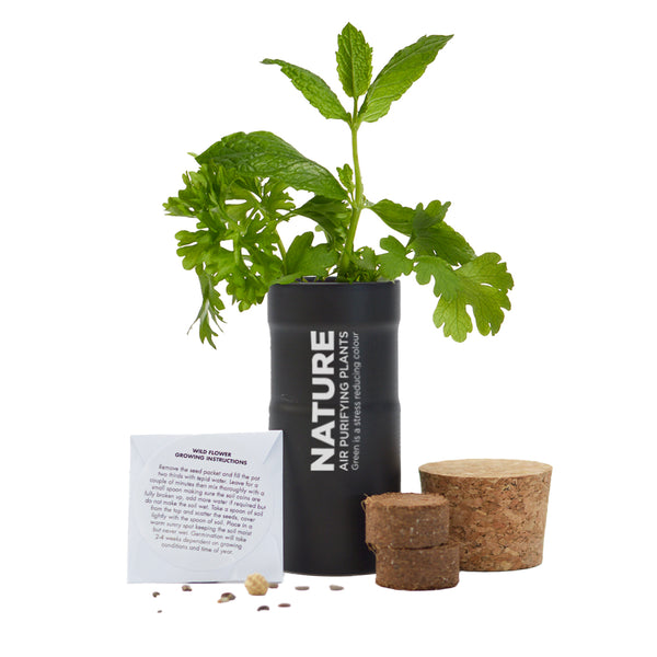 Desktop Garden - Black - SM-006-02