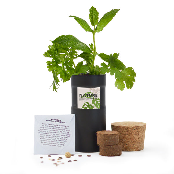 Desktop Garden - Black - SM-006-02
