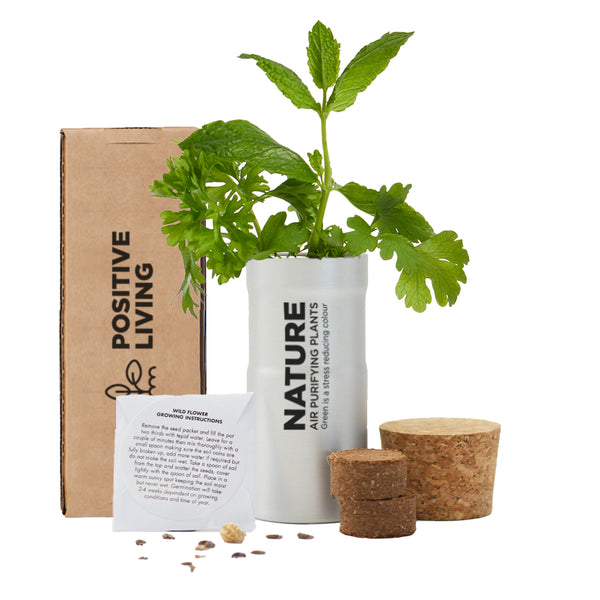 Desktop Garden in Printed Box - Silver - SM-007-01