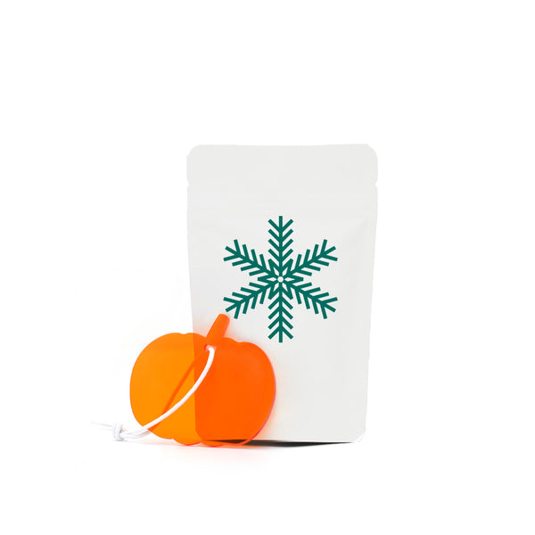 Orange recycled pumpkin bauble and Powch™