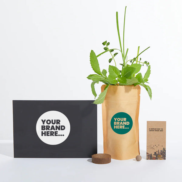 Social Media Seeds