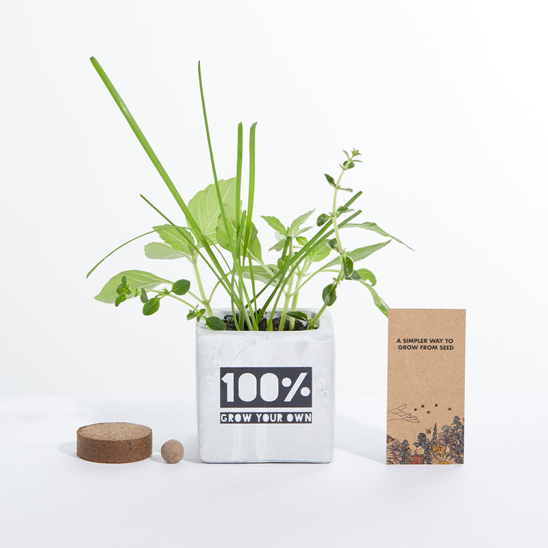 Concrete Grow Kit - Printed